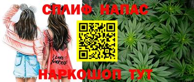 стаф Краснодар