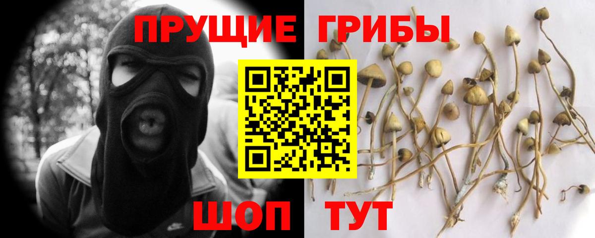 Галлюциногенные грибы мицелий Шелехов
